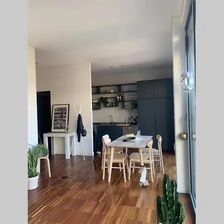 Big And Stunning In Central Area Apartment Turin